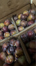四川脫骨李脆紅李【順豐直達】茵紅李半邊紅脆甜8月新鮮現摘水果 5斤裝【京東/順豐】 中果【單果15-20g】【60%人選擇】 曬單實(shí)拍圖