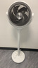 格力（GREE）【織風(fēng)者AI+】一級能效直流變頻輕音空氣循環(huán)扇家用語(yǔ)音遙控電風(fēng)扇香薰雙重凈化抑菌落地扇 曬單實(shí)拍圖