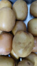 佳沛（zespri）新西蘭  陽光金奇異果18粒超大果原箱單果重約173-204g 獼猴桃 曬單實拍圖