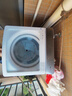 小天鵝（LittleSwan）波輪洗衣機全自動(dòng) 12公斤大容量 小烏梅輕奢版【TB12VE20DW】水魔方防纏繞 家電國家補貼20% 曬單實(shí)拍圖