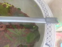 吉印刀鋒s魚缸燈led燈防水全光譜魚缸照明燈水草燈小型超白魚燈56cm 曬單實(shí)拍圖