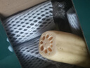藕荷泥（OUHENI）正宗洪湖粉藕新鮮蓮藕湖北特產(chǎn)現(xiàn)挖九孔藕煲湯湖藕粉糯蓮藕蔬菜 洪湖粉藕5斤(精品彩盒裝) 曬單實拍圖