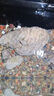 魚(yú)缸清洗神器魚(yú)缸水質(zhì)凈化劑魚(yú)缸凈水劑50年不換水去綠去黃水神器 買(mǎi)三贈二【不傷魚(yú)水立清神器】五瓶裝 曬單實(shí)拍圖