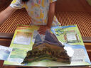 那么大植物立體書(shū) 兒童3d立體書(shū)6-8歲翻翻書(shū)小學(xué)生一二年級幼兒園科普百科全書(shū)科普互動(dòng)推拉翻翻書(shū)課外閱讀幼兒園繪本課外書(shū)書(shū)籍男孩女孩開(kāi)學(xué)生日禮物益智玩具 那么大！立體書(shū)：植物 曬單實(shí)拍圖