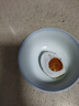 鄱湖鴨舍咸鴨蛋流油真空獨立包裝鹽蛋起沙熟咸鴨蛋黃咸蛋黃中秋節禮盒送禮 加大10枚*60-70g【廠(chǎng)家直發(fā)】 曬單實(shí)拍圖