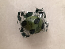 【獨立包裝】新鮮現摘青檸檬非無(wú)籽檸檬茶飲搭檔 單果80克 青檸檬1粒嘗鮮裝 曬單實(shí)拍圖