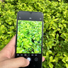 酷派（Coolpad）鋒尚70pro超薄智能手機6.5英寸微曲面屏蓋板大屏八核百元機學(xué)生價老人老年備用機 云霧藍64GB 曬單實拍圖