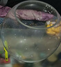 團圓月辦公室小魚(yú)缸加厚透明玻璃烏龜缸客廳家用桌面圓形迷你小型金魚(yú)缸 40CM圓球+彩石 曬單實(shí)拍圖