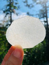 正宗安徽碭山酥梨新鮮水果當季現(xiàn)摘青皮梨黃翠冠梨雪梨翠玉梨整箱 5斤 大果 曬單實拍圖
