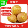 京鮮生 甘肅定西土豆 9斤 單果400g+ 沙面黃心土豆馬鈴薯洋芋 源頭直發(fā) 曬單實(shí)拍圖