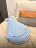 OlarHike鯨魚(yú)冰絲抱枕睡覺(jué)玩偶七夕情人節禮物送女友女生生日禮物女生實(shí)用 曬單實(shí)拍圖