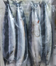 純色本味 冷凍精品俄羅斯秋刀魚(yú)凈重2斤 中秋 燒烤食材 生鮮魚(yú)類(lèi) 曬單實(shí)拍圖