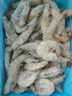 GUO LIAN國聯(lián) 生鮮鹽凍大蝦 無冰凈重3斤 鹽凍特大號(hào)45-60只 海產(chǎn)冷凍蝦 曬單實(shí)拍圖