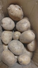牛愛(ài)鮮 黃心土豆新鮮洋芋馬鈴薯黃皮應季蔬菜整箱優(yōu)質(zhì)土豆現摘美味蔬菜 5斤【現挖現發(fā)】品質(zhì)裝凈重4.5斤 農家現挖蔬菜 曬單實(shí)拍圖