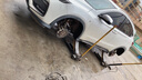 玲瓏輪胎215/55R17 98W 玲瓏臻選 UD 適配起亞K4/名圖 曬單實(shí)拍圖