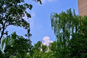 JJC 相機(jī)遮光罩 適用于尼康Z 50-250mm/50mm f1.8s鏡頭 替代HB-90A/HB-90 Z50II二代 Zfc Z30 Z72配件 曬單實(shí)拍圖