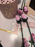 樂(lè )高（LEGO）【五月天阿信同款】積木10374 粉玫瑰花束 新品花植 生日禮物 曬單實(shí)拍圖