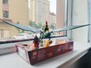 樂高（LEGO）積木幻影忍者71829 勞埃德的綠色森林飛龍男孩兒童玩具生日禮物 曬單實(shí)拍圖