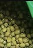 吾谷為伴綠豆 2斤 綠豆湯 可發(fā)豆芽 打豆?jié){ 東北雜糧 真空包裝 大米伴侶 曬單實拍圖