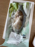 膳訊灣 臭鱖魚凈膛8-9兩*3條安徽黃山特產(chǎn)生鮮桂魚預(yù)制菜腌制 源頭直發(fā) 曬單實拍圖