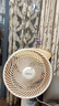 西佑空氣循環(huán)扇電風(fēng)扇家用風(fēng)扇臺式搖頭小風(fēng)扇立式換氣扇輕音大風(fēng)量交流定頻落地扇 曬單實(shí)拍圖