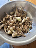 薯小萌藠頭新鮮現(xiàn)發(fā)蔬菜茭頭蕎頭叫頭干凈可腌制辣泡菜個大去葉 新鮮藠頭 5斤 曬單實拍圖
