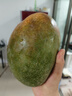 四川攀枝花凱特芒果2/3/4/5斤 帶箱2斤單果200g+ 曬單實(shí)拍圖