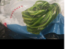 鮮海帶 鹽漬海帶絲 涼拌菜海帶絲食材鮮嫩 新鮮鹽漬海帶絲250g 曬單實拍圖