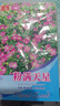 滿(mǎn)天星種子絲竹花四季易爆盆開(kāi)花不斷盆栽陽(yáng)臺庭院鮮花種子大全 粉色滿(mǎn)天星種子/包約1000粒 1包 曬單實(shí)拍圖
