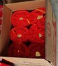 郎酒 紅花郎 紅15 醬香型白酒 53度 500ml*6瓶 整箱裝（年份隨機(jī)） 曬單實(shí)拍圖