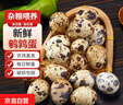 京喜加逗別三日新鮮鵪鶉蛋雜糧喂養(yǎng)鵪鶉小鳥蛋寶寶輔食鴨蛋超市早餐整箱 100枚 曬單實拍圖