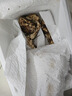 京地達云南昆明松茸凈重1斤單個(gè)9-12高端品質(zhì)出口級源頭直發(fā)包郵 曬單實(shí)拍圖