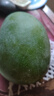 正宗凱特芒果 肉厚甜心芒熱帶當(dāng)季新鮮水果整箱 帶箱2斤單果300g+ 曬單實拍圖