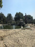 小熊（Bear）迷你養生壺養生杯 電燉杯電熱杯煮花茶壺燒水壺辦公室杯子0.4L全玻璃杯體YSH-F04E1 曬單實(shí)拍圖