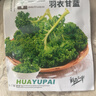 羽衣甘藍種子種籽食用秋冬季綠色蔬菜種籽四季盆栽蔬菜種子大全 羽衣甘藍種子【1包 約30?！?曬單實(shí)拍圖