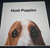 暇步士（Hush Puppies）皮帶女簡(jiǎn)約時(shí)尚百搭頭層牛皮ins風(fēng)韓版修身腰帶針扣生日禮物 曬單實(shí)拍圖