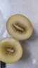 佳沛（zespri）新西蘭  陽光金奇異果25-27粒原箱特大果單果約122-146g  獼猴桃 曬單實拍圖