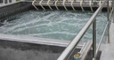 超強仕 工業(yè)消泡劑有機硅污水處理強力廢水除泡液紡織涂料循環(huán)水化泡劑 型號650- 2.5kg 1桶 曬單實(shí)拍圖