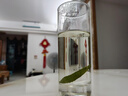 特級品質(zhì)甜葉菊茶甜菊葉鐵盒裝代糖養(yǎng)生花草茶沖泡水喝女士茶葉 甜葉菊25g（鐵盒裝） 甜葉菊 曬單實拍圖