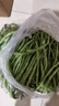 5斤架豆王無(wú)筋豆角蔬菜新鮮豆角蛇豆王無(wú)莖豆現摘現發(fā)廚房炒菜1斤 5斤新鮮無(wú)筋豆角（凈重） 曬單實(shí)拍圖