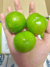 裕農(nóng)叔巫山脆李【JD順豐閃送】新鮮李子脫骨青脆李蜂糖甜重慶孕婦水果 2.8斤凈重裝（多人爽吃）-順豐 商超級(jí)金果30-50g 曬單實(shí)拍圖