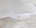 揚星漂白劑布草除黃染色專(zhuān)用酒店白床單被罩去污漬清洗白色衣服漂白水 商用全效免搓漂白劑【3斤】 曬單實(shí)拍圖
