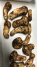 京地達云南昆明松茸菌菇凈重2斤單個(gè)7-9cm出口級源頭直發(fā)包郵 曬單實(shí)拍圖