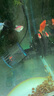 淘歌（TG） 魚缸造浪泵 單頭吸盤 家用打浪泵 造流吹魚糞打浪器循環(huán)推水機 曬單實拍圖