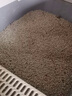 沃趣 貓砂膨潤土20斤除臭低塵結團青檸大包裝小顆粒 曬單實(shí)拍圖
