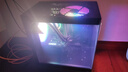 航向者 i5 12600KF/RTX5060/4060/3050吃雞電競直播水冷游戲辦公設計臺式電腦主機DIY組裝電腦整機全套 四：i5 12600KF丨16G丨3050 8G 曬單實(shí)拍圖