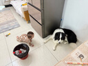 衛仕（NOURSE）膳食中大型犬糧 狗干糧 中大型犬全價(jià)狗糧 牛肉蔓越莓 15kg*1袋 曬單實(shí)拍圖