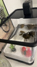 闊庭烏龜缸生態(tài)缸寵物飼養箱透明爬寵專(zhuān)用黑色款 曬單實(shí)拍圖