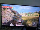 微星（MSI）24.5英寸 300Hz 0.5ms (GtG) 支持HDR 快速液晶IPS 10Bit 窄邊框游戲電競顯示器 MAG 255XF 曬單實拍圖