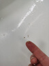 康佳超聲波潔牙器洗牙器結石去清除潔洗牙齒沖洗器去黃牙結石神清潔器煙漬茶漬工具醫用七夕情人節禮物 閃耀白【真超聲波醫療器械認證】 4支噴頭 曬單實(shí)拍圖